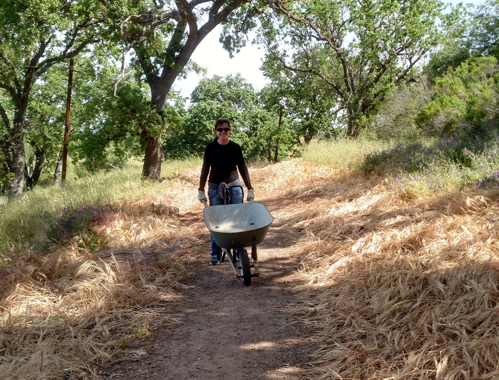 Lucine heading back for another load of mulch.